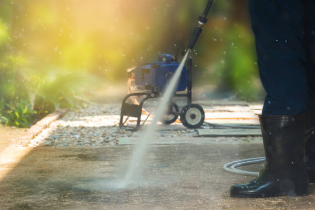 Best Driveway Pressure Washing  in Little Walnut Village, NM